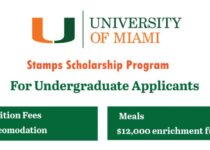 University of Miami Stamps Scholarship