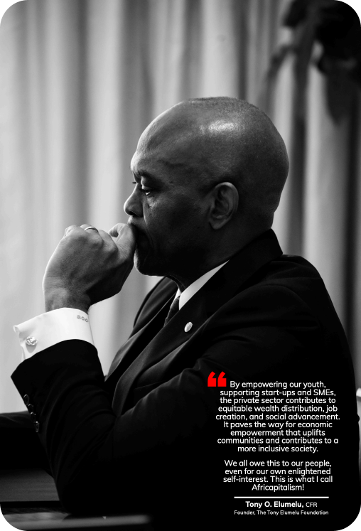 Tony Elumelu foundation