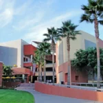 California State University Scholarship